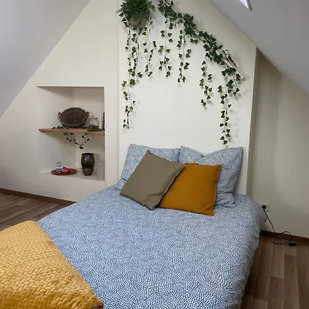 Bed & Breakfast Les Volets Bleus 3*